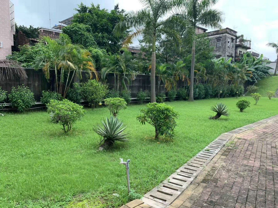 九江堤圍養(yǎng)護項目